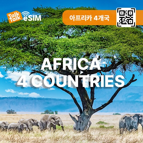 톡톡eSIM: 아프리카4개국 30일간 제공